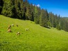 IMG_20200606_155013