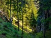 IMG_20200606_175036