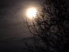 IMG_20201231_063859