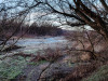 IMG_20201231_081027