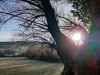 IMG_20201231_091320