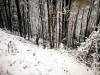IMG_20161112_100338