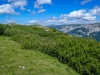 P1100587