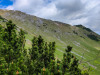 IMG_20220526_114024