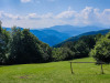 IMG_20230819_124020