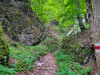 IMG_20210607_152227