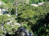 P1060812