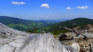 Hallerhaus-Runde, Mönichkirchner Schwaig