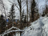IMG_20231208_122817