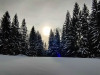 IMG_20231208_125045