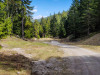 IMG_20210423_133046