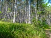 P1110031