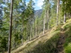 P1100794