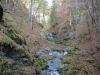 p1040460-jpg