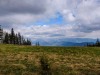 IMG_20200521_093123