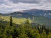 IMG_20200521_093517