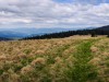 IMG_20200521_094432