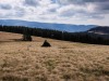IMG_20200521_095110
