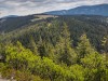 IMG_20200521_101702