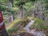 IMG_20200521_111046