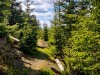 IMG_20200521_112114