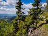 IMG_20200521_113545