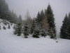 p1040676-jpg