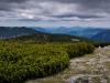 IMG_20200602_100622