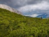 IMG_20200602_120753