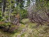 IMG_20200602_122452
