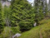 IMG_20200602_123828