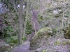 P1060546.jpg