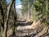 P1060554.jpg