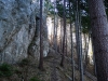 P1060559.jpg
