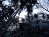 P1060561.jpg