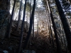 P1060563.jpg
