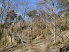 P1060566.jpg