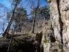 P1060570.jpg