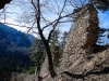P1060573.jpg