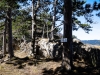 P1060575.jpg