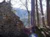 P1060590.jpg