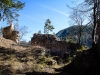P1060591.jpg