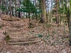 IMG_20190202_095056
