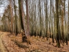 IMG_20190202_104409