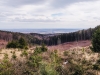 IMG_20190202_114506
