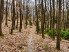 IMG_20190202_123157
