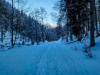 IMG_20210214_084516