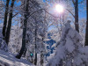 IMG_20210214_100804
