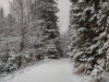 IMG_20201226_075725