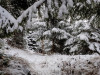 IMG_20201226_083853